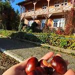 Appartement Nikifour, Nad Deptakiem